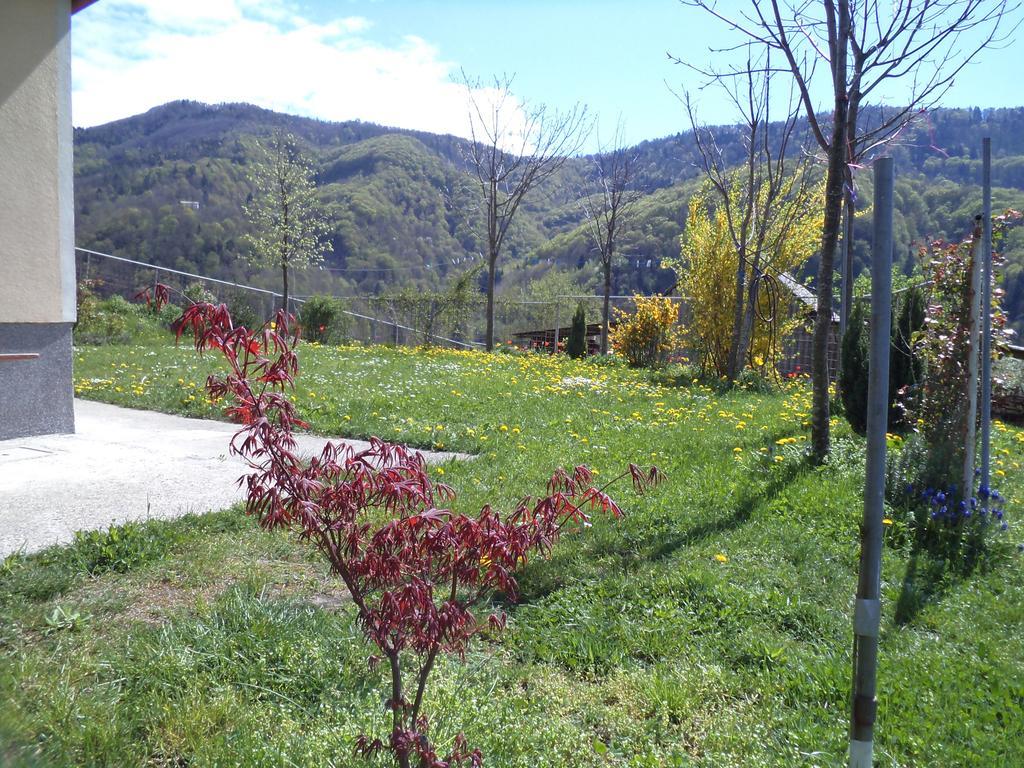 Apartments Petrin Tolmin Zewnętrze zdjęcie